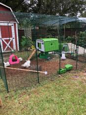 Omlet vert Eglu Cube grand poulailler dans Omlet parc à poules avec vert Eglu Go en arrière-plan