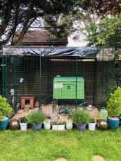 Parcours pour poules avec un poulailler à l'intérieur, entouré de pots de fleurs