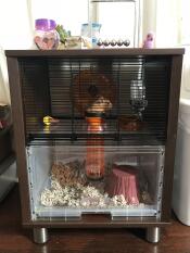 Une cage pour hamster et gerbille de couleur noisette Qute 