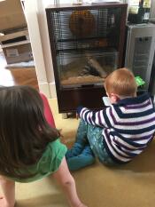 Les enfants adorent regarder leurs nouveaux animaux de compagnie dans leur Qute