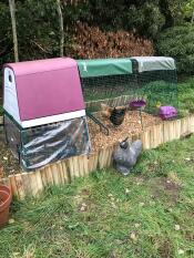 Les deux poules adorent le coupe-vent et les protègent bien ! facile à installer très satisfait de ce produit prêt pour l'hiver maintenant. 