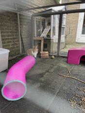 Tunnel de jeu