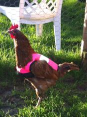 Une veste impressionnante !