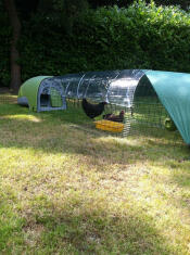 Eglu Classic extension de la course
