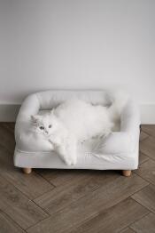 Un chat blanc appréciant le confort de son lit à traversin blanc