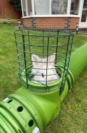 Peep-bo