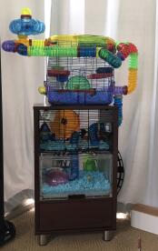 Une cage à hamster Qute avec une unité de rangement en dessous et une extension avec une autre cage au-dessus de celle-ci
