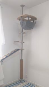 Freestyle grattoir avec accessoires