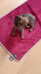 Tina sur sa couverture Omlet