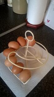 Un concours d'œufs montrant le dur travail de nos poules !