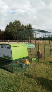 Un grand poulailler vert Cube avec un parcours d'accès attaché