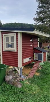 Un poulailler en bois avec une échelle menant à l'ouverture automatique de la porte.