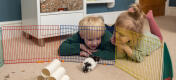 Deux enfants allongés regardant leur hamster dans un enclos coloré.