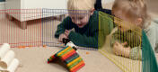 Deux enfants regardant un hamster dans un enclos avec des jouets colorés.