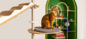 Chat sur Freestyle arbre à chat du sol au plafond plateforme coussin