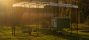 Eglu Cube poulailler à l'intérieur d'un enclos avec un couvercle transparent sur le dessus et un coucher de soleil en arrière-plan