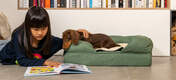 Adding the blanket to their bed or favourite spot will create a cosy and calming space for your dog.