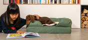 Le matelas suprême en mousse à mémoire de forme est conçu pour offrir aux chiens le lit qu’ils méritent.