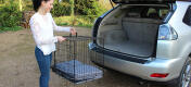 La cage sécurisée Fido Classic est facile à transporter et convient parfaitement aux trajets en voiture