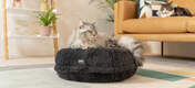 Ce lit pour chats en forme de Donut épouse les contours du corps de votre chat comme vu ici avec Sammy qui pèse 5 kg.