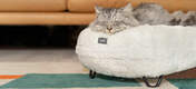 Chat dormant sur une Snowboule blanche douce Luxury Maya donut lit pour chat avec pieds en métal épinglés noirs