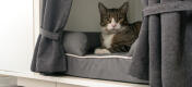 En surélevant le lit de votre chat, la Maya Nook, la plus inventive des niches, le protège des courants d'air et autres désagréments.