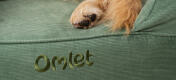 Gros plan sur les pieds d'un chien sur un lit confortable et facile à nettoyer Omlet bolster dog bed