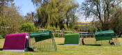 Un clapier rose Eglu Go pour cochons d'Inde et un clapier Eglu Go vert pour lapins dans un jardin