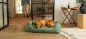 Retriever dormant sur un grand lit pour chien en velours côtelé et nid de mousse.