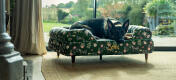 Berger allemand sur grand lit vert pour chien