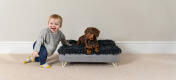 Topology lit pour chien