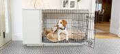 Topology lit pour chien