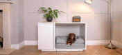 chien couché dans le panier pour chien topology Bolster à l’intérieur de la niche pour chien Fido Nook