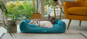 Deux frenchies se blottissant dans un confortable lit pour chien Omlet nest