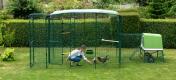 Femme donnant à manger à des poulets dans un poulailler avec véranda