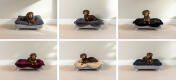 Topology lit pour chien