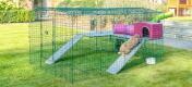 Lapin jouant dans sa cage à lapins extérieure accessoirisée