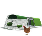 poulailler igloo