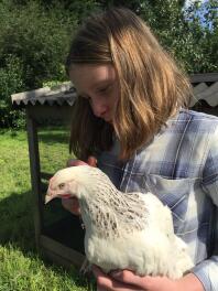 Hermionie Hen rentre à la maison!