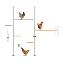 Faites passer le divertissement de vos poules au niveau supérieur en utilisant toute la hauteur verticale de votre poulailler.
