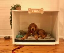 Un chien qui se repose dans la niche Fido.