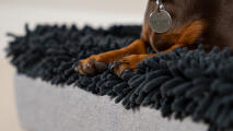 Détail de pattes sur un surmatelas en microfibre grise sur un lit pour chien Topology 