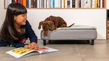 Petite fille lisant un livre à côté d'une saucisse sur un lit de chien Topology 