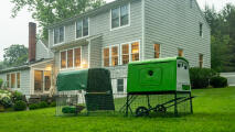 Eglu Cube poulailler et parcours dans un jardin devant une grande maison