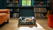 Chien couché sur un lit nid d'abeille coloré dans une salle de lecture confortable