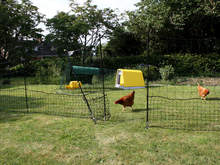 Filet à poules Omlet - 12 mètres - Porte, cordes et piquets à double pointe inclus