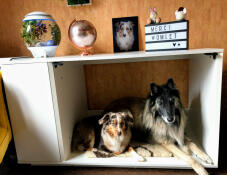 Niche Fido Nook