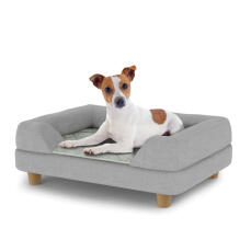 Chien assis sur un petit lit pour chien Topology avec traversin gris et pieds ronds en bois