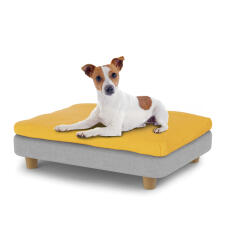 Petit chien assis sur un petit lit pour chien Topology avec un pouf et des pieds ronds en bois.