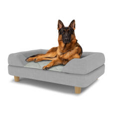 Chien assis sur un grand lit pour chien Topology avec traversin gris et pieds ronds en bois